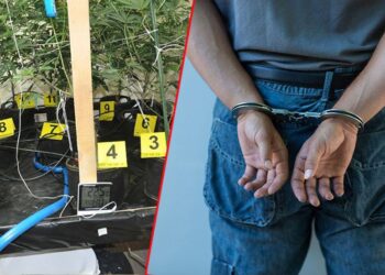 Vranjë: Kapen dy qytetarë nga Bujanoci me 1 kilogram kanabis
