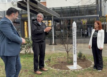 Bujanoci, i vetmi qytet në Serbi në hartën ndërkombëtare të paqes (VIDEO & FOTO)