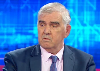 Ministri Berisha kritikon Këshillin Kombëtar Shqiptar dhe e akuzon për lidhje të tepruara me Prishtinën