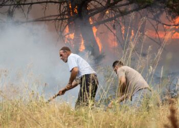 Për gjynah, përsëri zjarr mbi fshatin Corroticë – dyshohet zjarrvënie e qëllimshme, digjen pishat e rralla