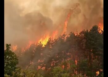 Zjarr masiv mbi fshatin Miratoc – kryetarja Sinani fton qytetarët për mobilizim